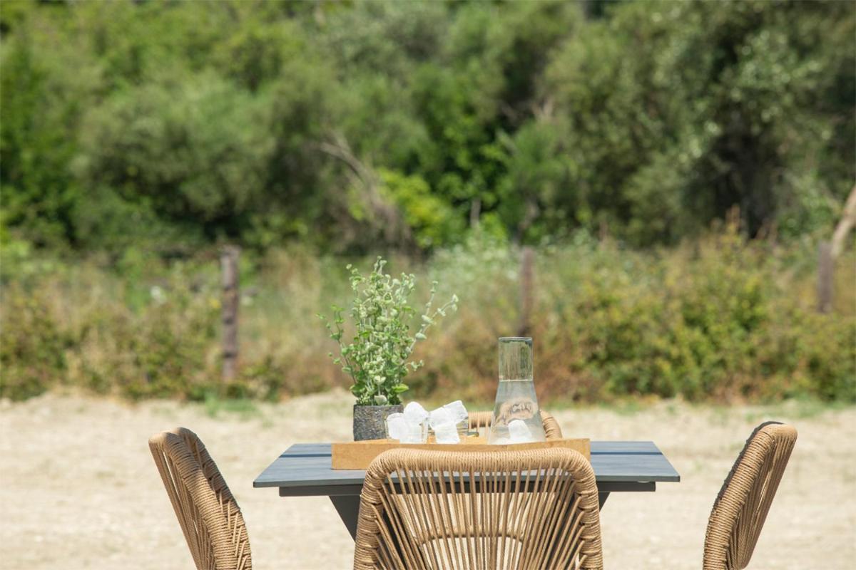Seascape Villas Vassiliki - Beachfront Villas Exterior foto